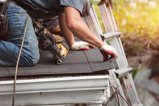 Best Metal Roofing Contractor  in North Pole, AK